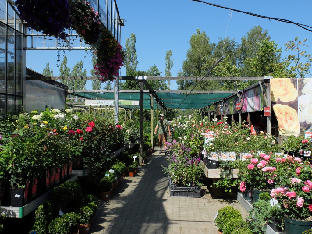 Baumschule_Ueberblick_01