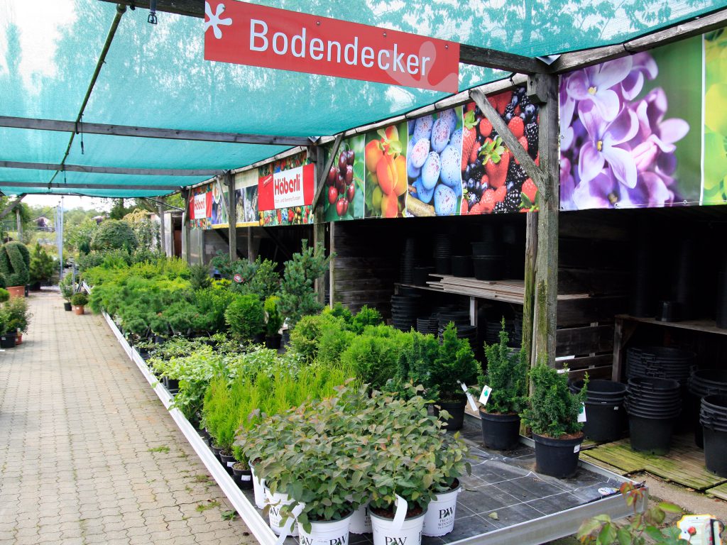 Baumschule_Bodendecker_03