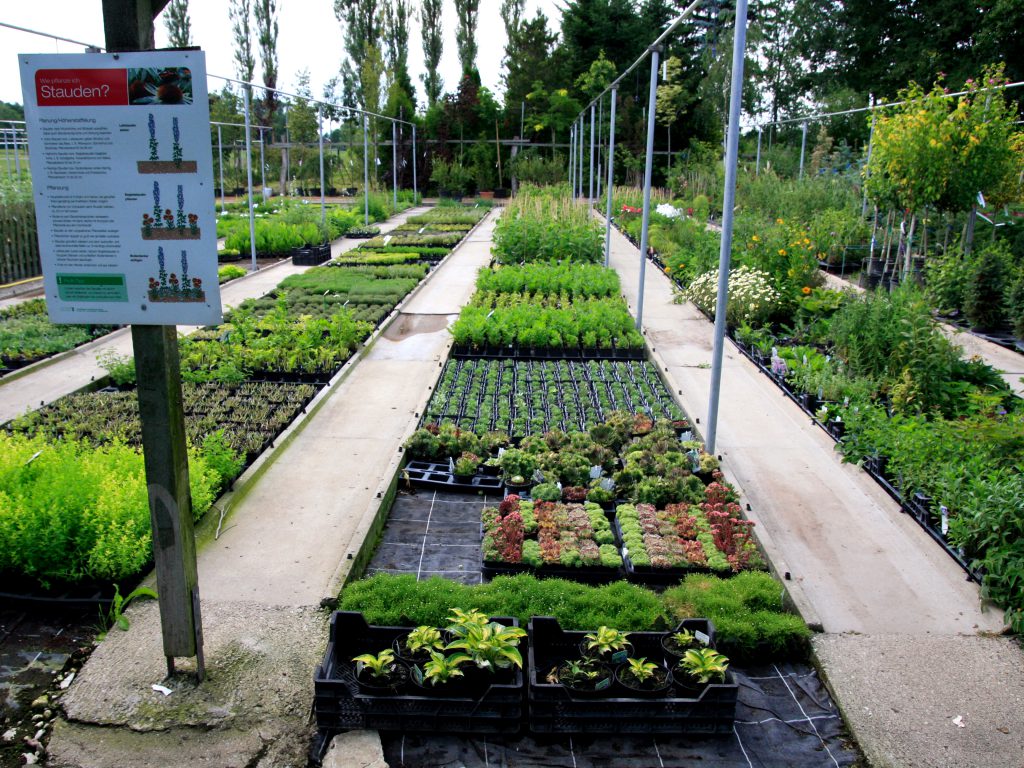 Baumschule_Stauden_01