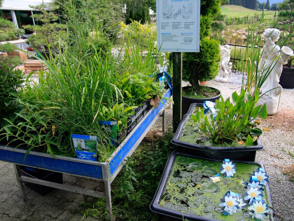 Baumschule_Ueberblick_02