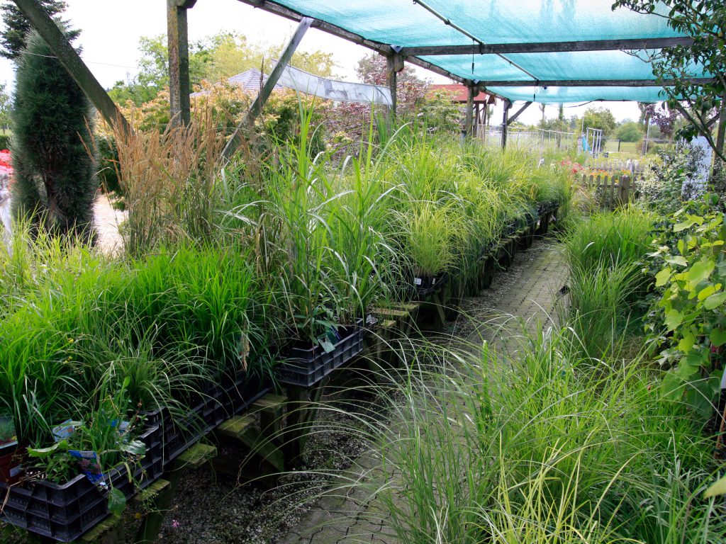 Baumschule_Ueberblick_03