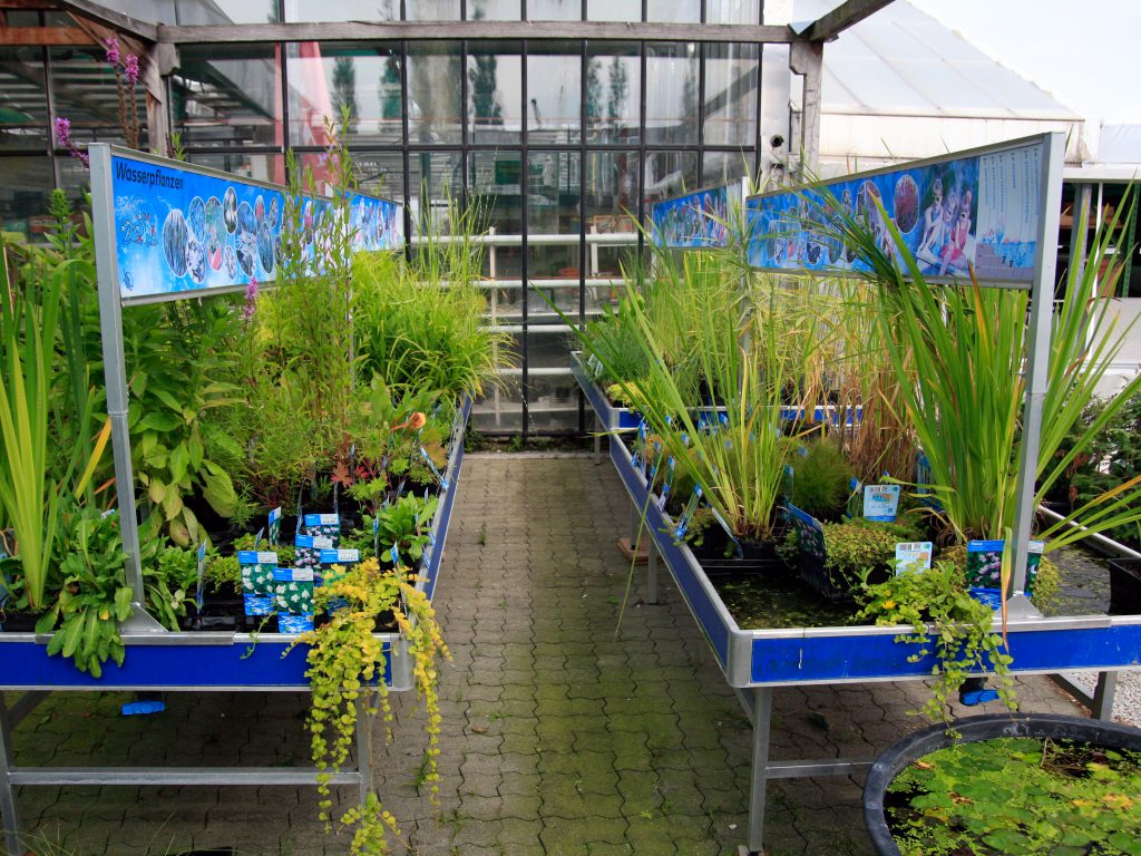 Baumschule_Ueberblick_04