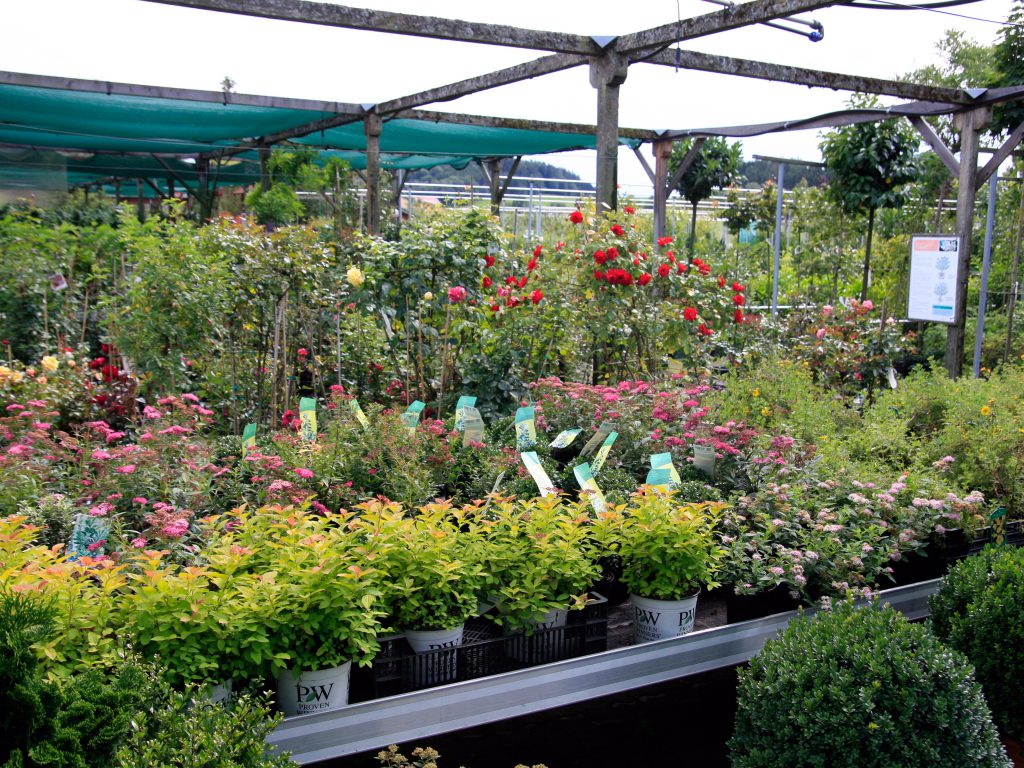 Baumschule_Ueberblick_06