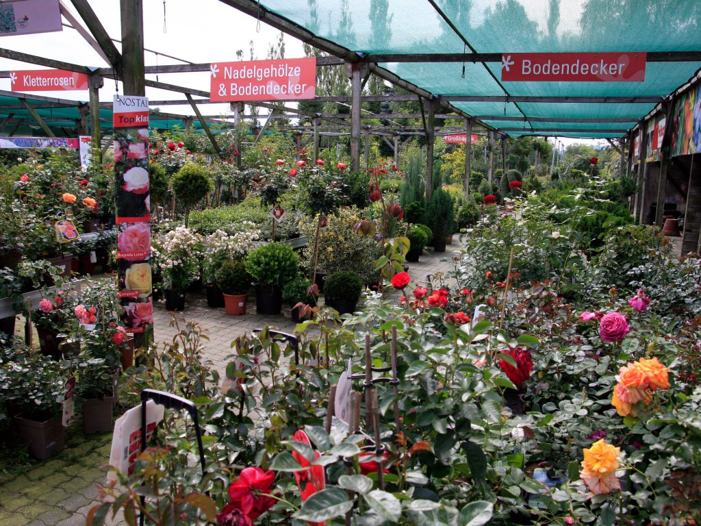 Baumschule_Ueberblick_07