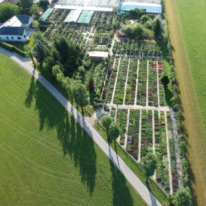 Luftbild Staudenfläche Gärtnerei bei Sonnenschein
